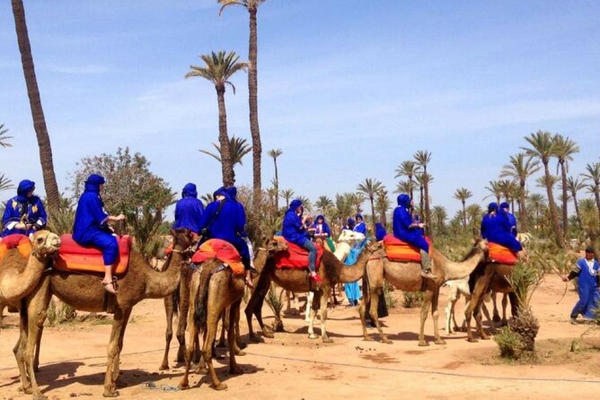 Hot Air Balloon With Breakfast and Camel Ride - Preparing for the Adventure