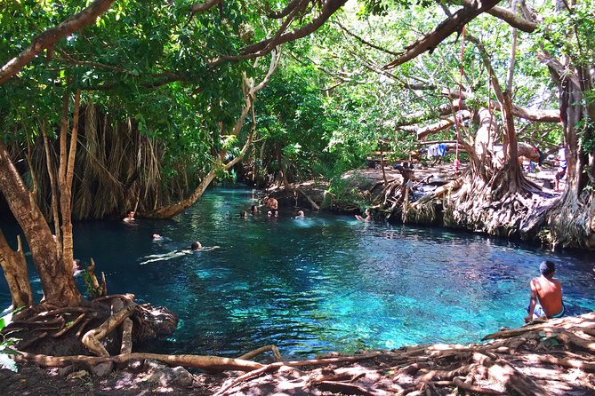 Hot Spring Day Trip - Reviews and Recommendations