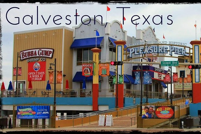 Houston Sightseeing Tour and Galveston Day Trip - Accessibility and Group Size