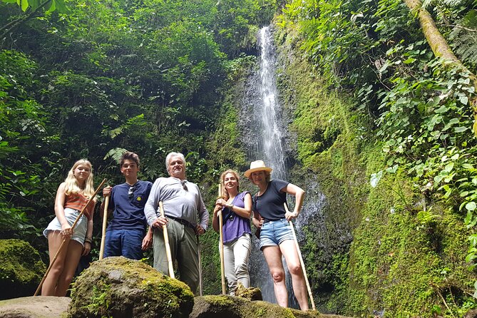 Howler Monkey Tour - Filandia Views And Gastronomy - Flexible Pickup Arrangements