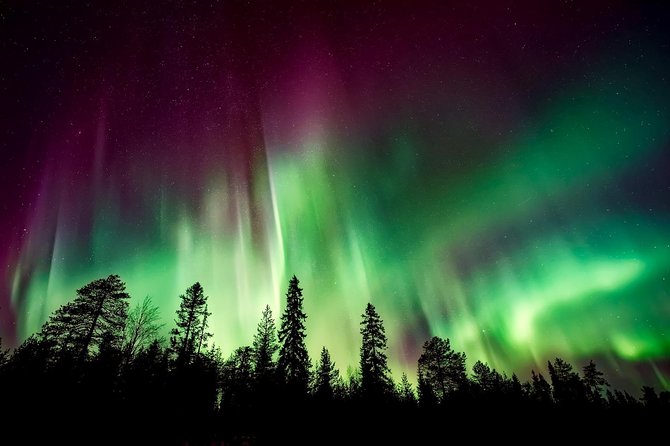 Hunt for the Northern Lights in Kiruna - Abisko - Photographic Guidance