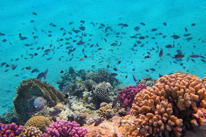 Hurghada Snorkelling - Health and Safety