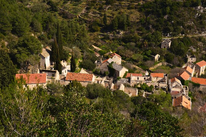 Hvar Lavender Tour - Feedback and Ratings