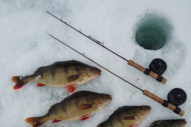 Ice Fishing Trip at Lake Inari - Keeping the Catch for a Fish Feast
