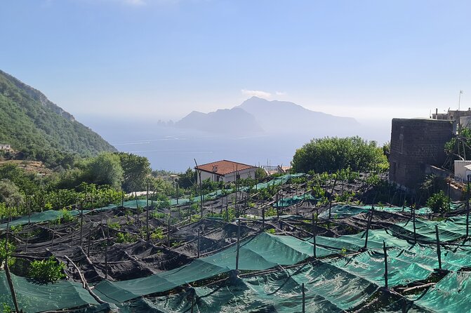 Ieranto Bay Hike and Swim - Amalfi & Sorrento Coast - - Expectations and Considerations
