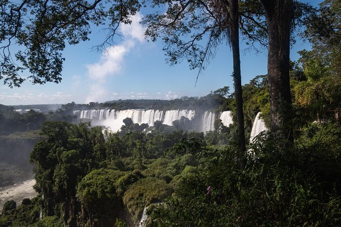 Iguazu Falls, Jungle Activities and Boat Ride From Puerto Iguazú - Safari, Jungle Trek, and Boat Ride