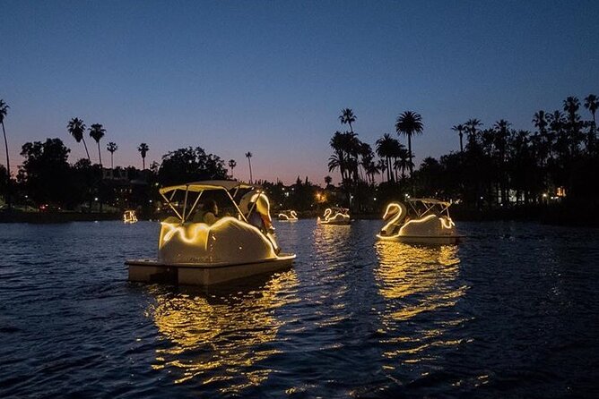 Illuminated Swan Boat Night Ride on Rainbow Lagoon - Additional Considerations