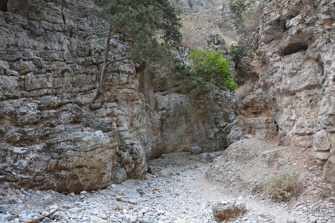 Imbros Gorge & Frangokastello Tour Review - On-site Experience at Imbros Gorge
