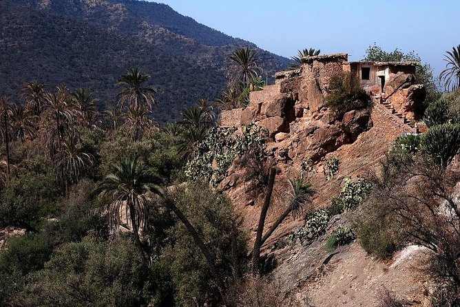 Imouzzer High Atlas Mountains Tour From Agadir - Customer Reviews and Ratings