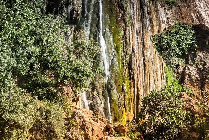 Imouzzer Waterfall Excursion & Paradise Valley - Guest Feedback and Ratings
