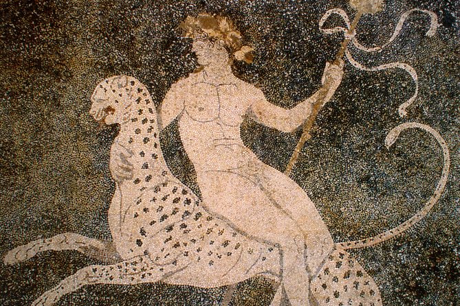 In the Footsteps of Alexander the Great - Macedonian Kingdom - 8 Hrs - Accessibility and Tour Participation