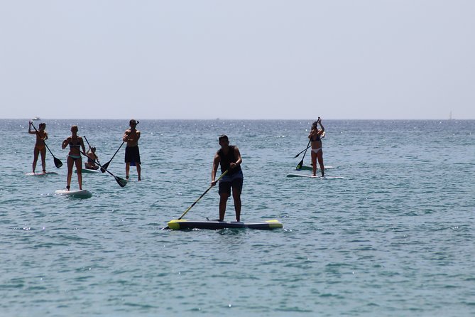 Initiation or Journey in Stand up Paddle (Sup) in El Campello (Alicante) - Booking Process and Pricing