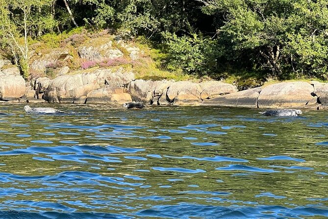 Inshore Fishing in the Drangefjord - Provided Gear and Equipment