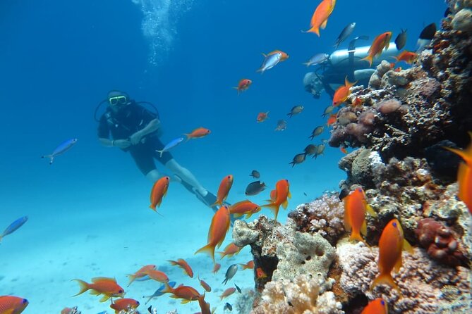 Intro Scuba Diving - Upgrade Opportunities