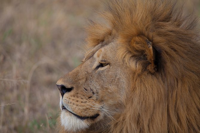 Introducing Kenya Safari Package - Booking and Payment