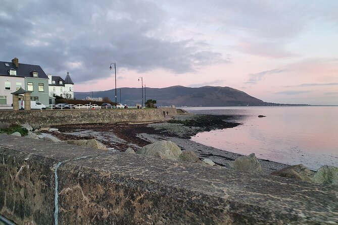Ireland North Coast MEGA Trip for up to 8 Passengers - Tour Features