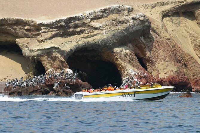 Isla Ballestas, Huacachina - Lima - Pricing and Cancellation