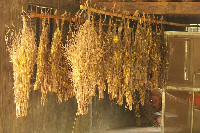 Island Community Life in Phnom Penh - Local Attractions and Activities