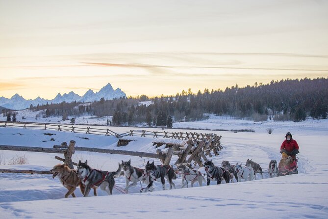 Jackson Hole Full-Day Dog Sledding and Snowmobiling Combo Trip - Health and Safety Guidelines