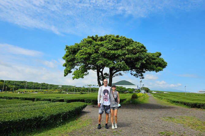 Jeju Private Tour Package-South of Jeju(Mt.Hallasan & Waterfalls) - Booking Process