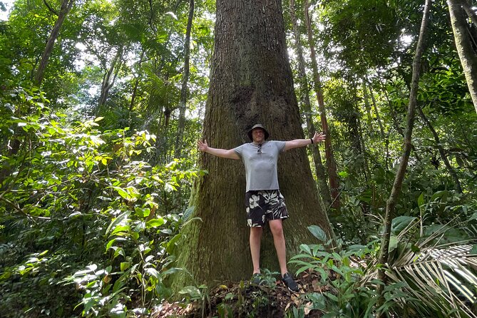 Jesses Amazon Adventures - Survive and Thrive in the Rainforest - Dining Amidst the Lush Rainforest