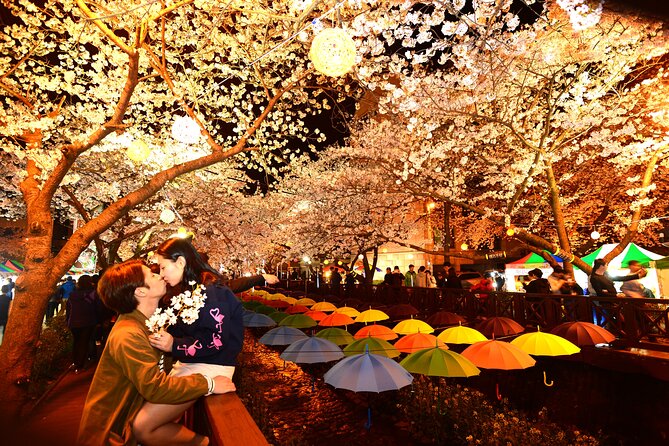Jinhae Cherry Blossom Festival Tour - Tips for Enjoying the Festival