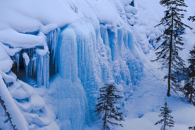 Johnston Canyon Frozen Waterfalls & Banff Backroads Wildlife Tour - Reviews and Feedback