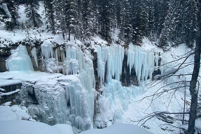 Johnston Canyon Private Guided Icewalk - Accessibility and Participation