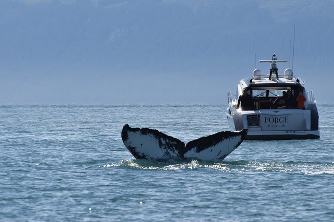 Juneau by Land & Sea - Taking in Juneaus Outdoor Activities