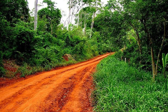 Jungle Fly: Adventure at the Jungle in Iguazu - Getting There and Booking