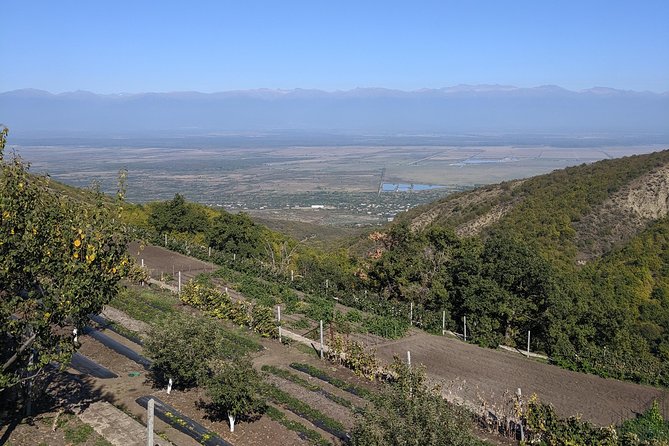 Kakheti Wine Tour · Full Day Private Tour · Trending Georgia - Winery Visits
