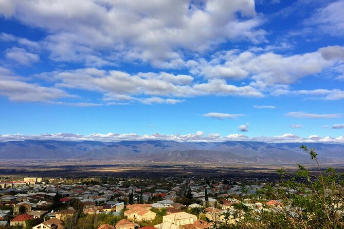 Kakheti Wines and Monuments: Private Tour From Tbilisi - Full-Day Itinerary and Exploration