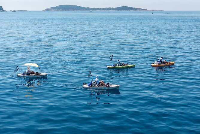 Kanjac Kayak Fishing Cavtat: A Review - Hosts Response and Invitation