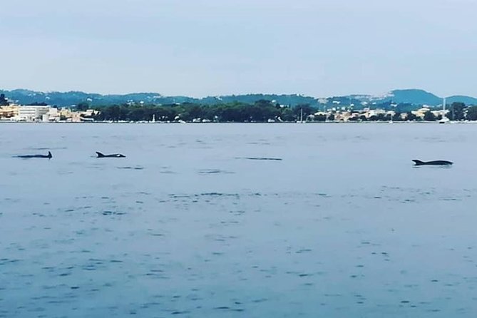 Kassiopi Private Daily Sailing Yacht Cruise - Traveler Reviews and Ratings