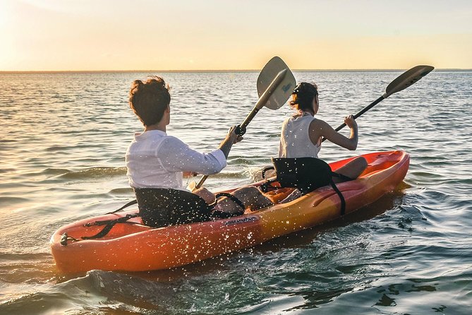 Kayak Adventure Through Laguna Nichupté in Cancun - Accessibility and Participation