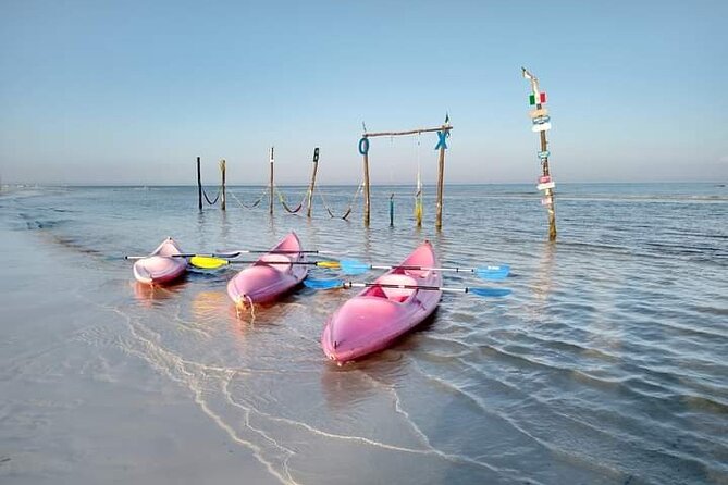 Kayak Experience in the Mangroves of Holbox Island - Transportation and Meeting Point