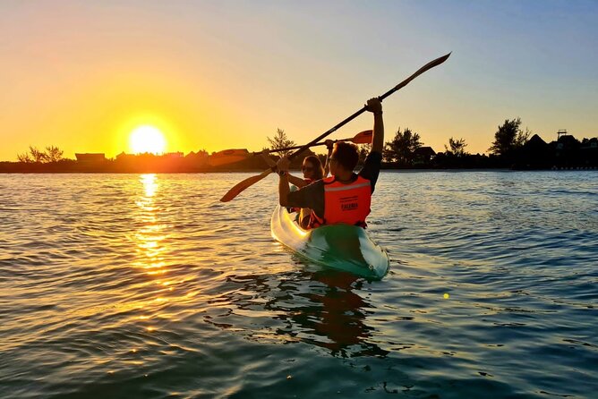 Kayak Mangroves Sunrise Experience - Wildlife Encounters