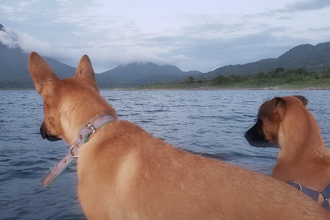 Kayaking on the Lake Arenal *Personalized Experience* - Enjoying the Provided Amenities