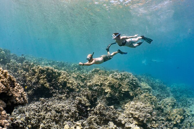 Kealakekua Bay Snorkel - Pricing and Cancellation Policy