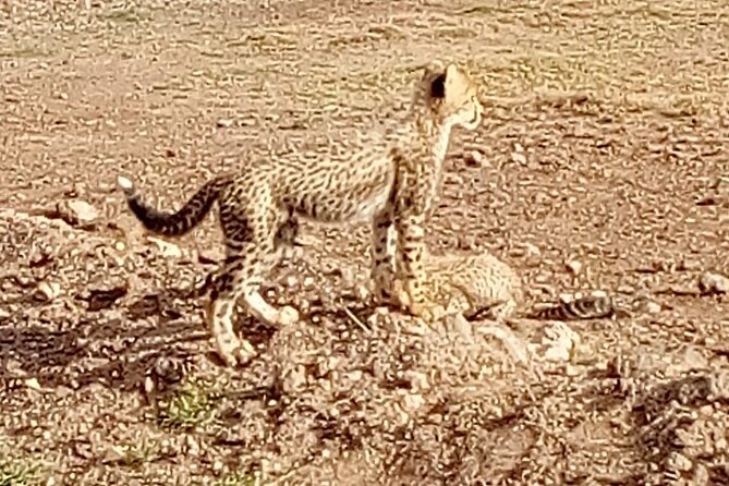 Kenyan Safaris - Physical Fitness Requirements