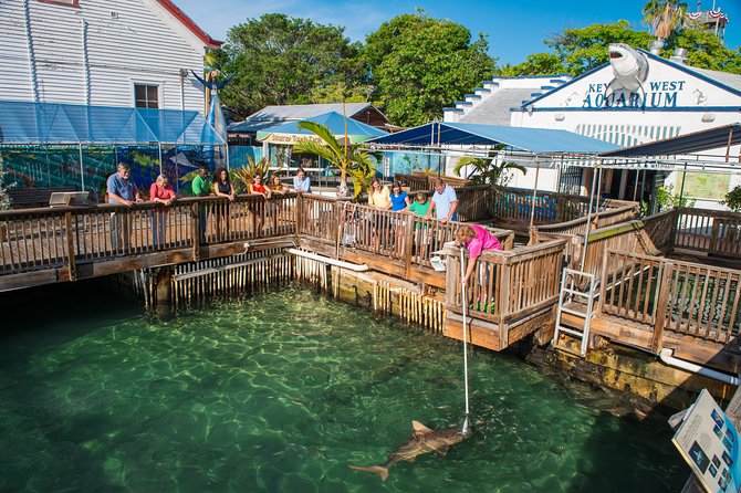 Key West Aquarium Admission - Visitor Reviews and Feedback