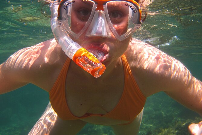 Key West: Dolphin Watching Cruise & Snorkeling Unlimited Beer & Soda - Crew and Service
