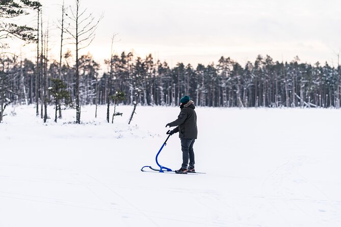 Kicksledding on Snowy Forest Roads and Frozen Lakes in Riga - Winter Wonderland Experience