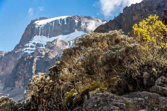Kilimanjaro Climb, Kilimanjaro Crater Route (10-Day) - Cancellation Guidelines