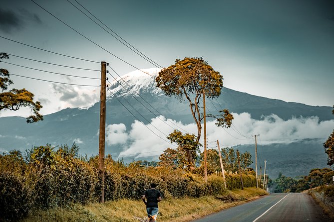 Kilimanjaro Climbing 7 Days Machame Route - Travelers Experiences