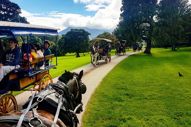 Killarney Jaunting Car & Lily of Killarney Watercoach Tour - Customer Reviews