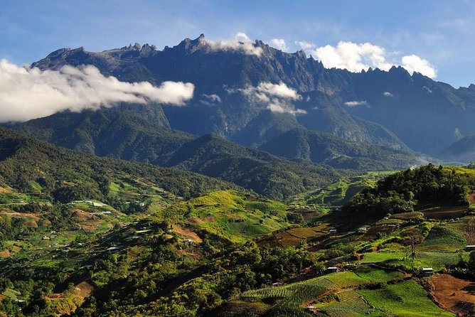 Kinabalu Park Tour With Desa Dairy Farm & Poring Hot Springs - Inclusions and Logistics