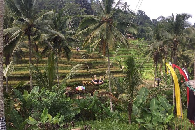 Kintamani Private Tour:Tegalalang Rice Terraces, Goa Gajah Temple - Pickup Information