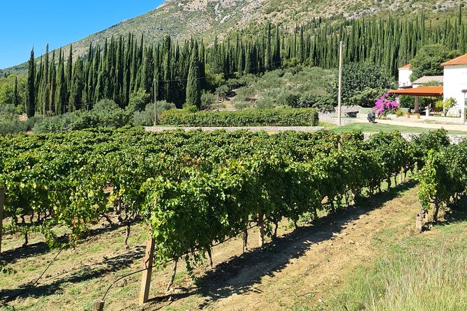 Konavle Gastro & Culture Tour (Small Group) - Knowledgeable Guides