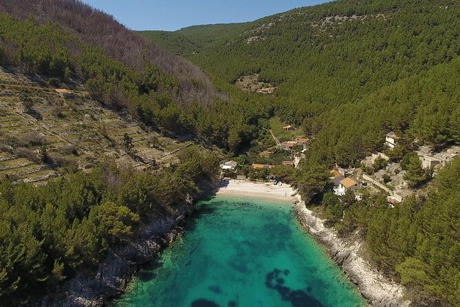 Korcula Island Mountain E Bike Tour - Traveler Reviews and Ratings